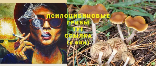 каннабис Алексин