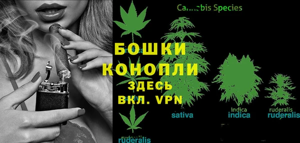 бошки Алзамай