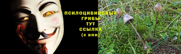 a pvp Алексеевка
