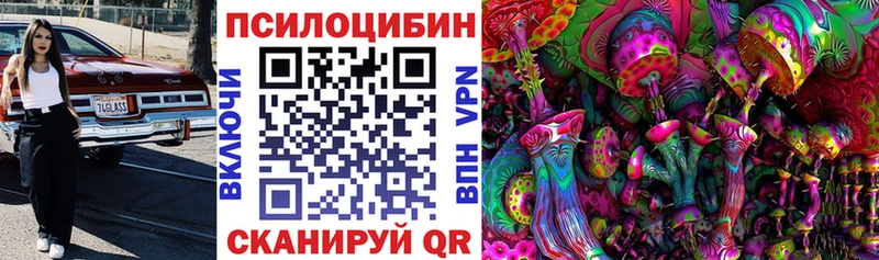 Псилоцибиновые грибы Psilocybe  магазин продажи   Сосновый Бор 